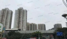 深圳布吉最新爆料,揭秘社区新动态与民生焦点