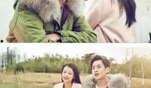 十五年等待候鸟在线观看免费