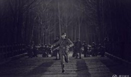 战地烽火情在线观看,烽火岁月里的热血传奇